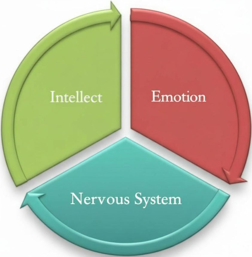  Mind & Body Coaching